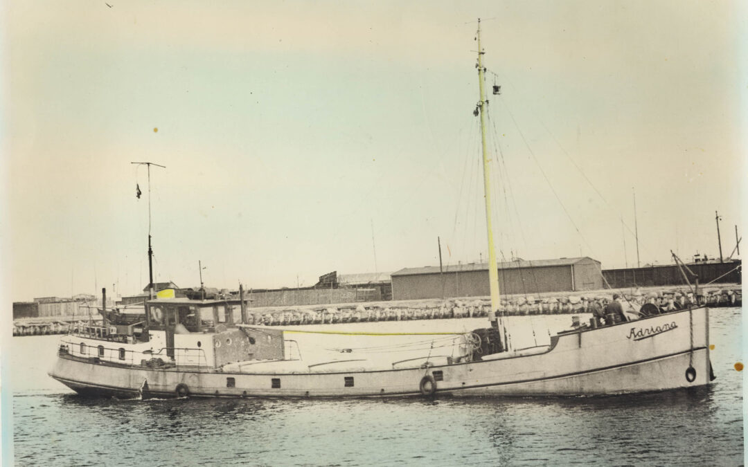 Øen, smugleren og tolderen
