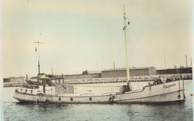 Øen, smugleren og tolderen